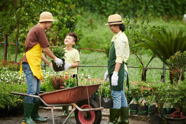 Achat de plantes d'extérieur : découvrez des variétés uniques