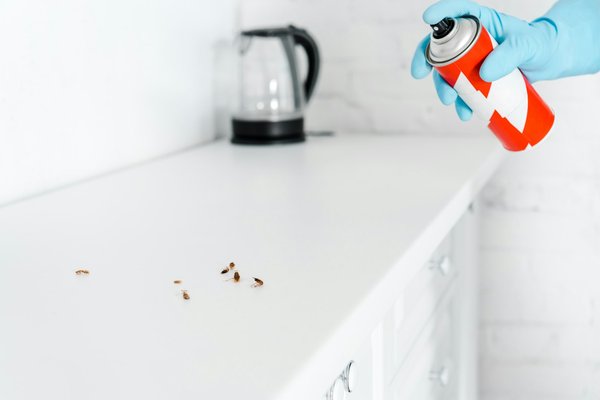 Quelles sont les différentes interventions d'un expert anti nuisible dans la Drôme ?